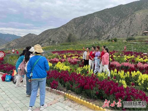 乡村花海湿地效果图设计 乡村旅游花海 