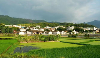 郯城田园路效果图设计师 郯城田园路效果图设计，打造乡村美景的蓝图 