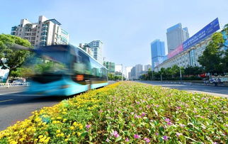 常州道路效果图设计招聘电话 常州道路效果图设计招聘——打造城市交通新篇章 