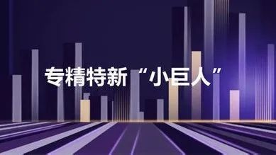 专精特新设计效果图 专精特新图片 