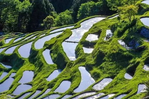 梯田样式景观设计效果图片 梯田样式景观设计效果图，自然与艺术的完美融合 