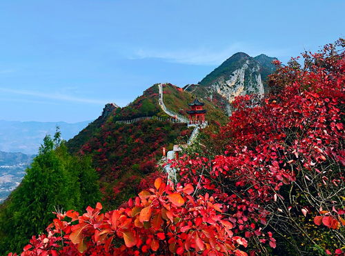 红叶巫山的绘画 红叶巫山设计效果图图片的魅力与解读 