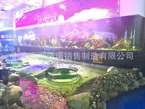 水族店 鱼缸设计效果图大全 水族店之魅力，鱼缸设计效果图与艺术之美 