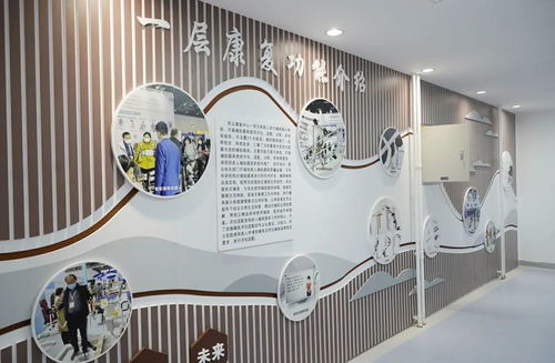 康复辅助器材展厅设计方案_康复辅助器具展示中心