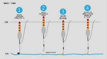 小白线设计方案目录_钓小白条线组