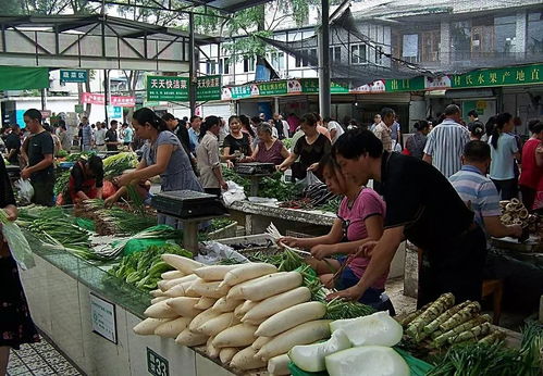 龙泉农贸菜场设计方案_成都龙泉新菜市场招商