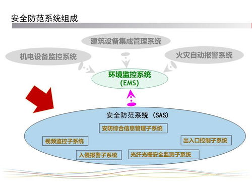 体育实验设计方案