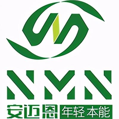 闵行区Logo设计方案