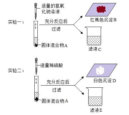 食品感官实验设计方案