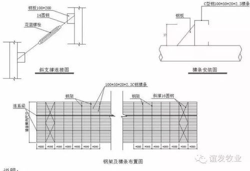 关于1300头母猪场设计方案