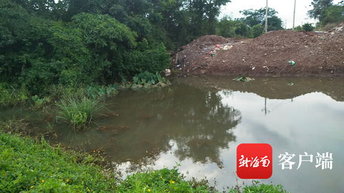 露台菜地排水设计方案