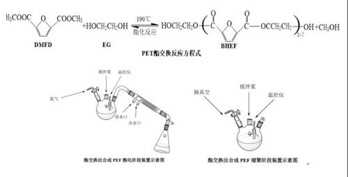 可降解塑料顶层设计方案_可降解塑料装置