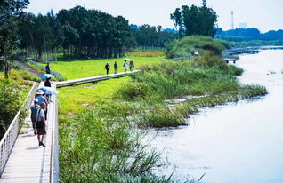 山东大型水景设计方案公司——打造美丽水景新篇章，山东水景设计新篇章，专业大型水景方案公司助力美丽水景建设