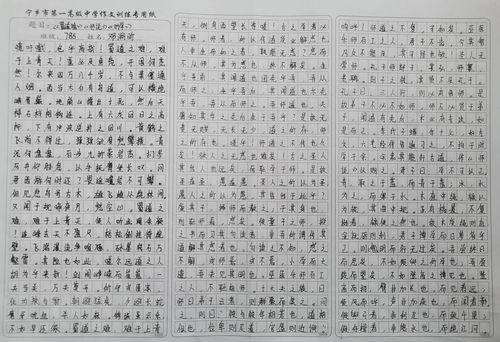 学写铅笔字教学设计方案，精准教学设计方案，铅笔字书写入门