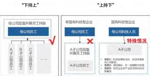 国企改革公司股权设计方案