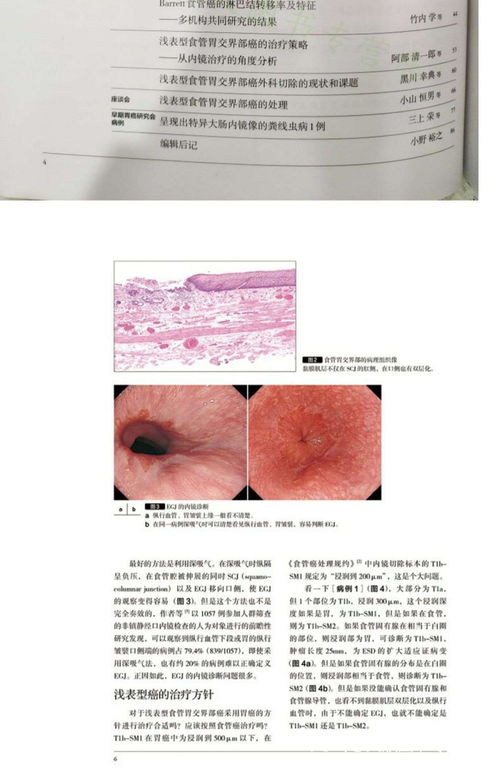 检测阴沟肠杆菌的设计方案