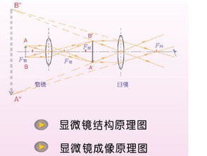 自组伽利略望远镜设计方案