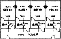 青海PCR实验室设计方案