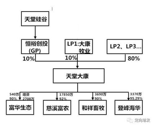 股权融资设计方案