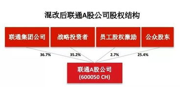 小公司财税顾问设计方案