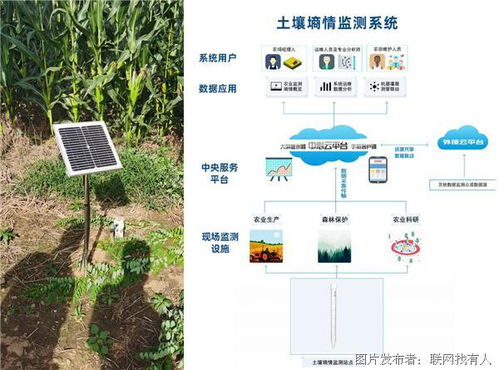 自动灌溉系统设计方案，智能灌溉系统设计方案