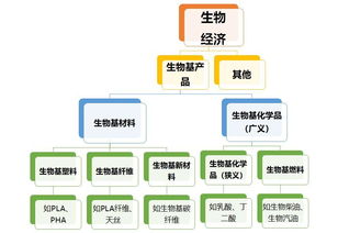 生物塑料产品设计方案