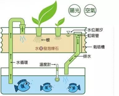 鱼塘循环水工程设计方案