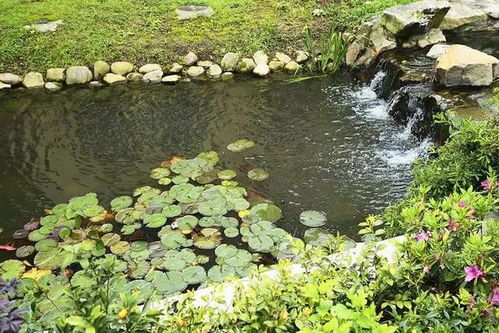 别墅庭院流水景观设计方案，别墅庭院流水景观设计方案，打造诗意水景空间