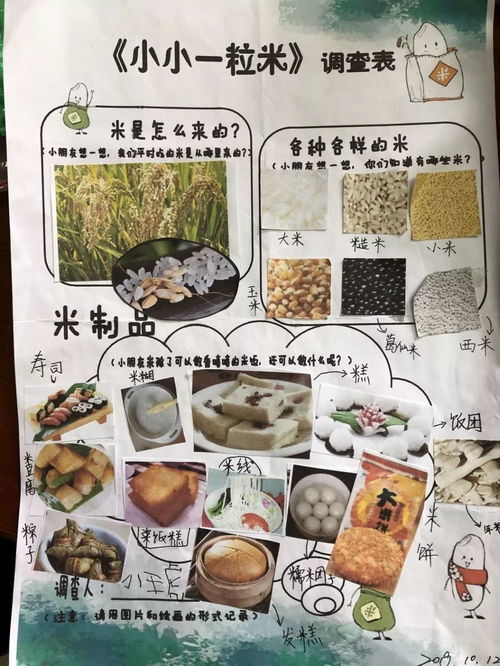 食物旅行记微课程设计方案