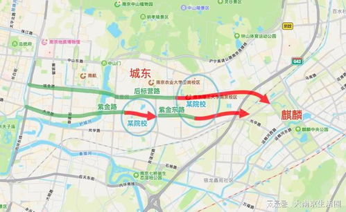 南京地铁8号线设计方案，南京地铁8号线设计方案公布