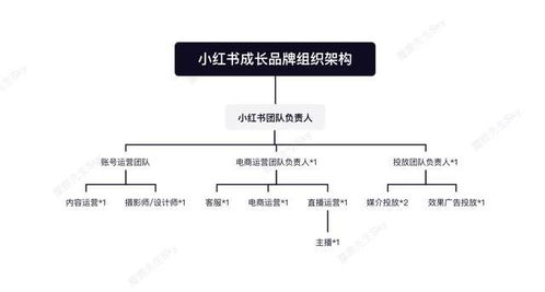 设计方案执行方案