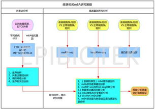 研究设计方案