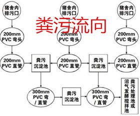 雨污分离项目设计方案_雨污分离项目设计方案模板