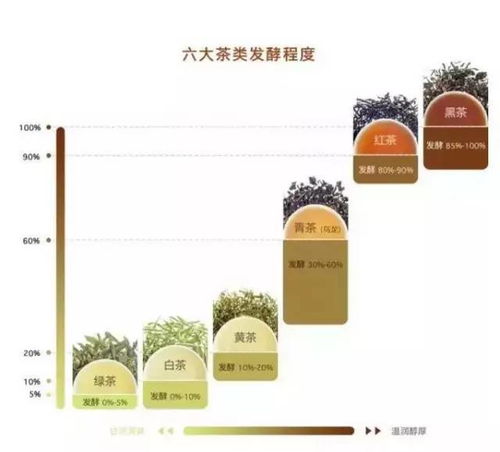 茶叶叶片设计方案_茶叶设计展开图