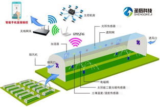 厂区雨水管网设计方案_雨水管网建设