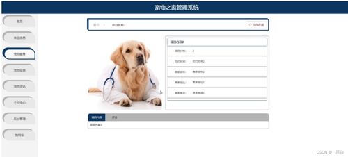 宠物直播室设计方案图_宠物直播系统开发