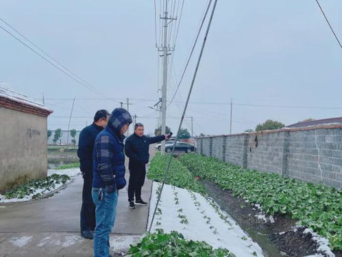 家庭牛棚搭建设计方案_搭建牛棚怎么搭建