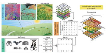 生物多样性校园设计方案_生物多样性校园设计方案怎么写