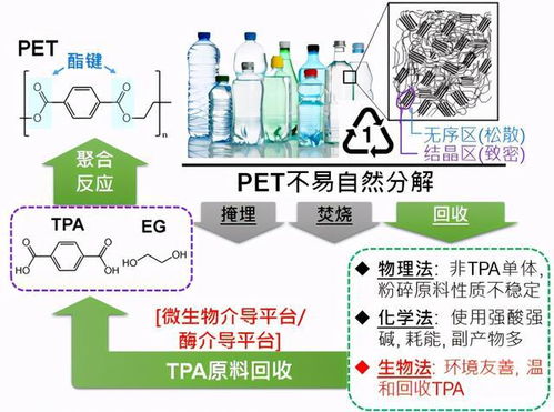 塑料降解课程设计方案_塑料降解的原理